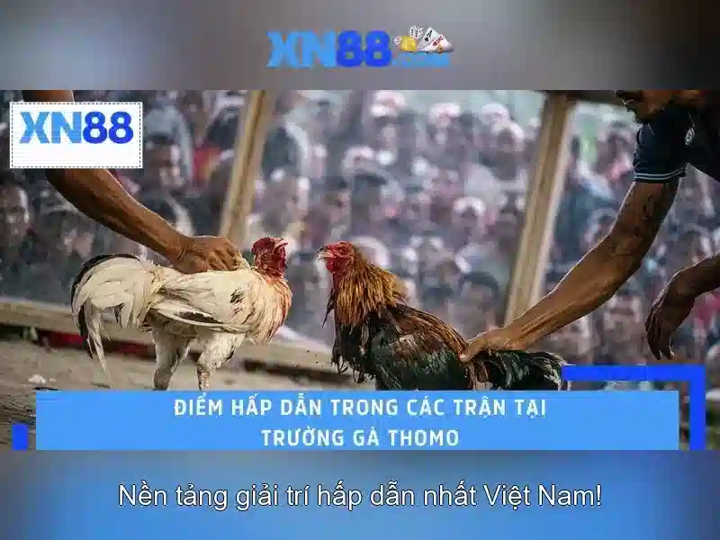 💎nha cai 888slot💎