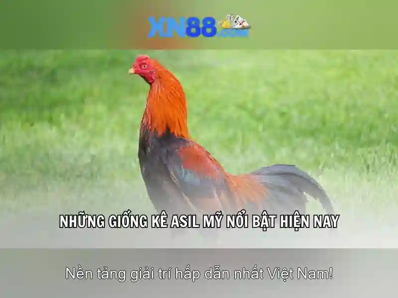 💎lava game slot ทางเข้า💎