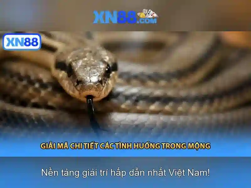 💎nhà cái vz999 vz999.com💎