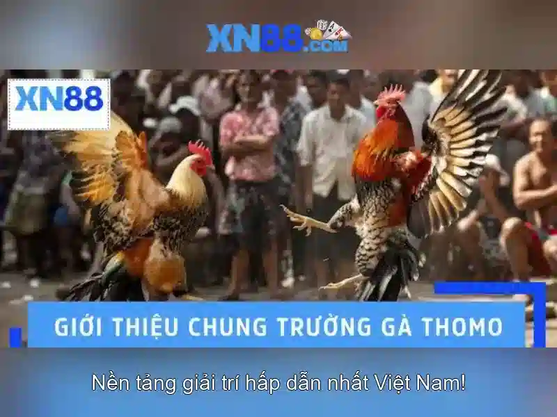 💎sông nào không thuộc khu vực bắc á💎