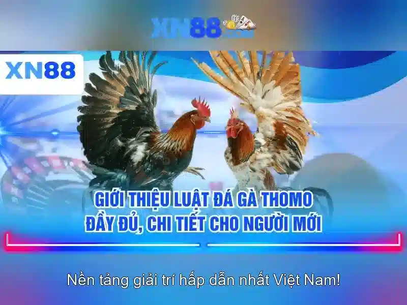 💎game bài Slot365💎