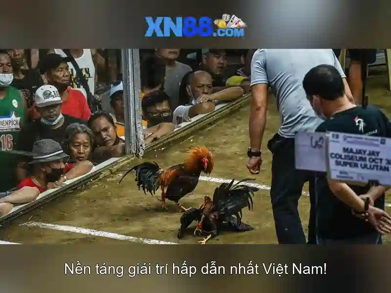 💎888slot com casino login💎