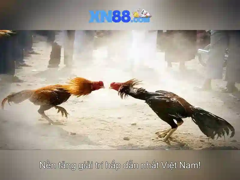 💎en kazançlı slot oyunları💎