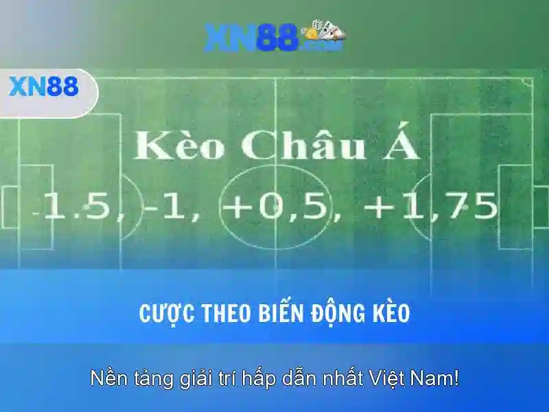 💎liverpool formation under hb88 slot💎