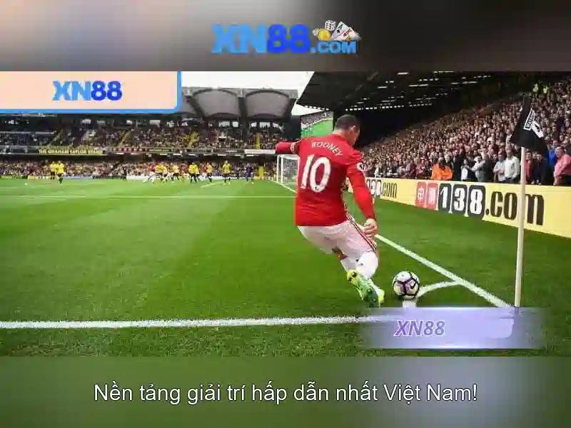 💎højkol slot💎