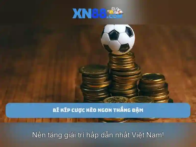 💎ca cuoc ty so bong da hom nay💎