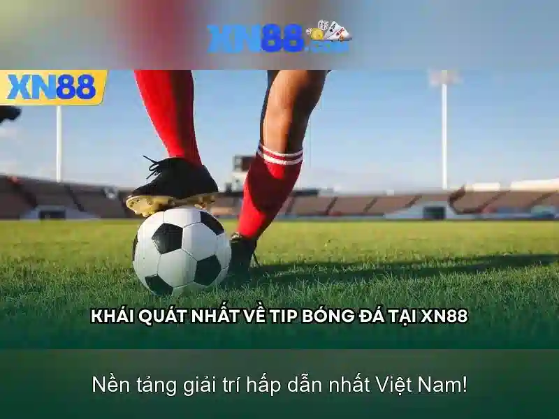 💎kèo nhà cái w88 m88💎