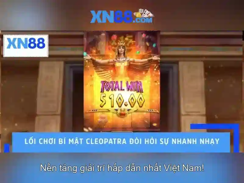 💎hb88 fortune monkey💎