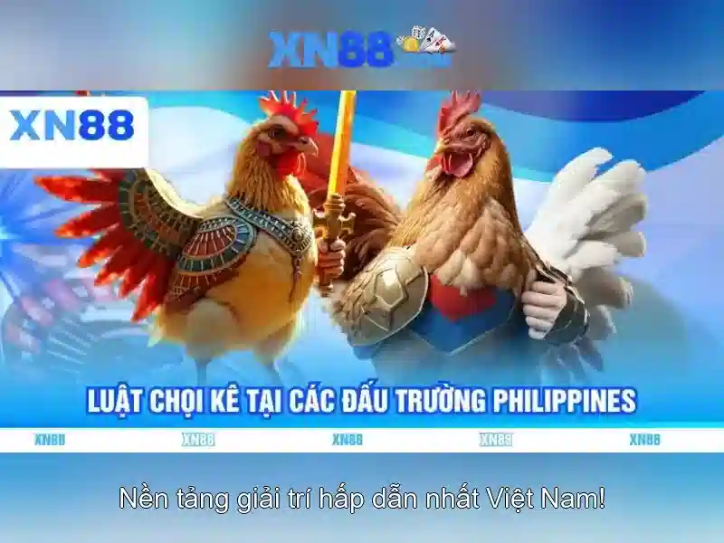 💎tình yêu bác dành cho những khúc dân ca💎