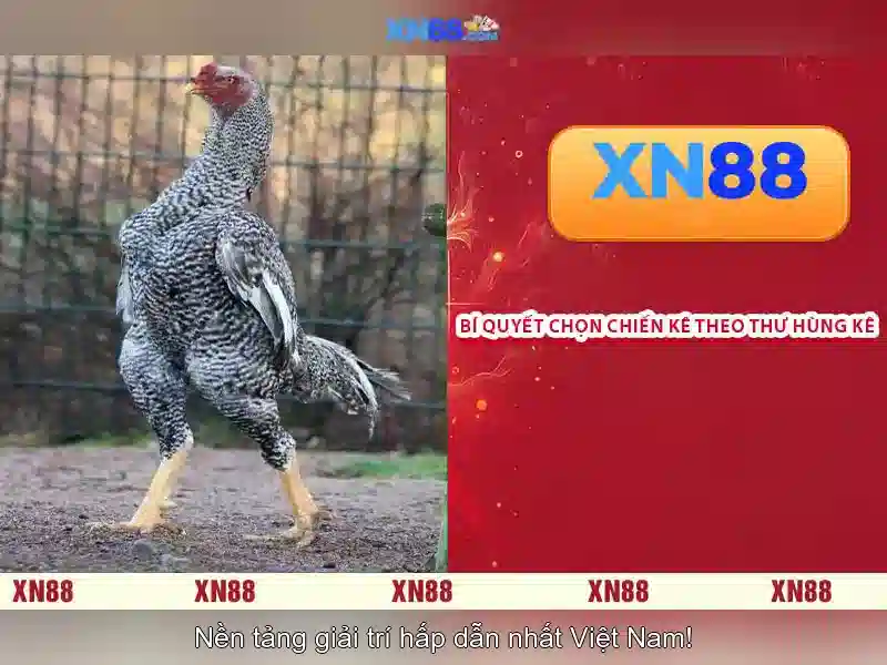 💎o88 888 slot💎