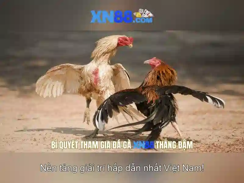 💎ambthai slot💎