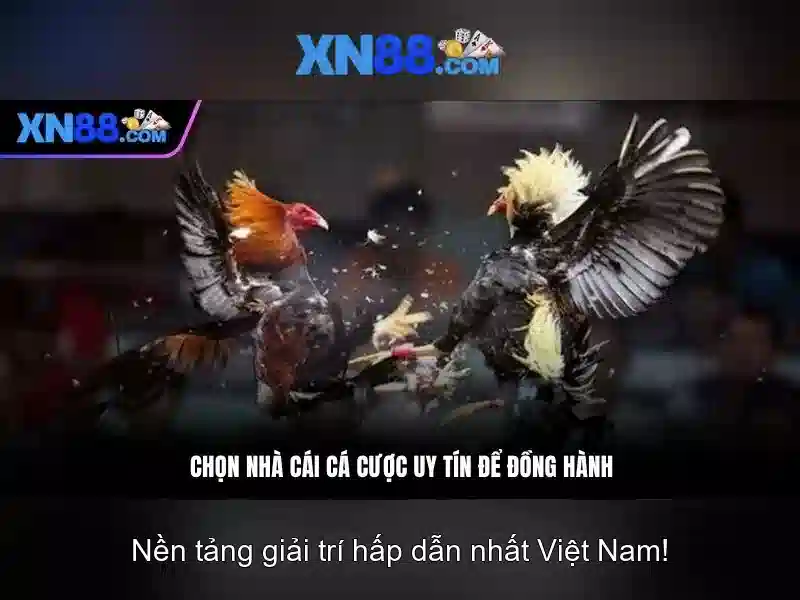 💎sòng bạc 1995💎