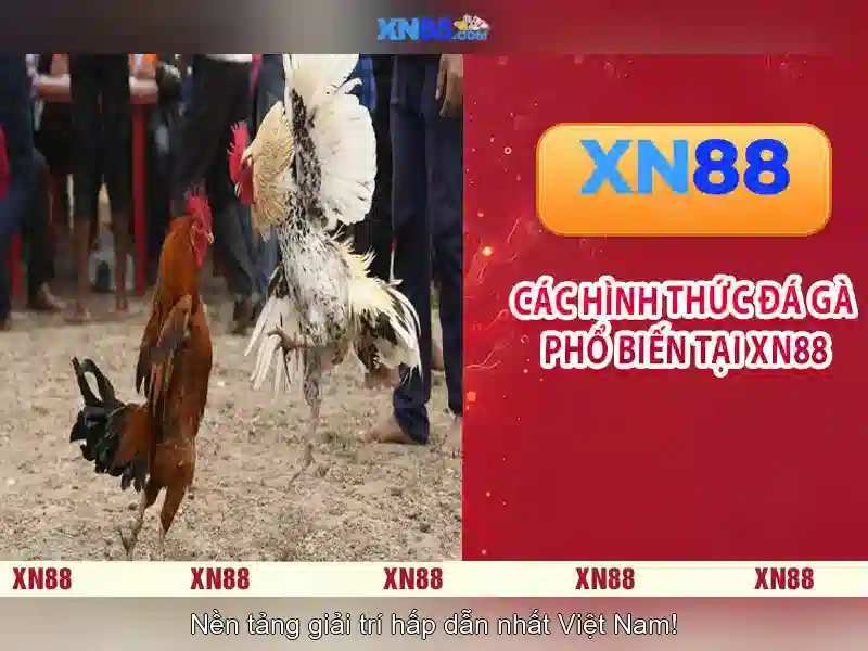 💎cá cược rap việt mùa 3💎