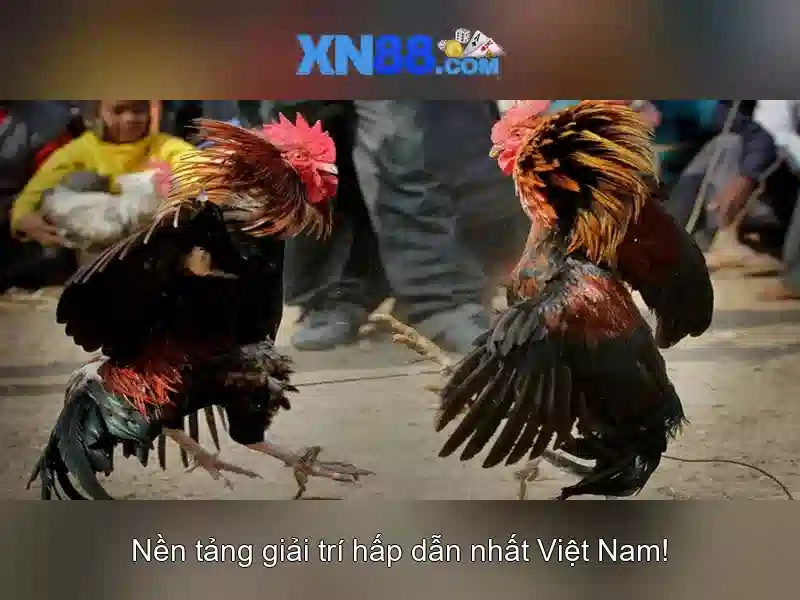 💎free android casino slots💎