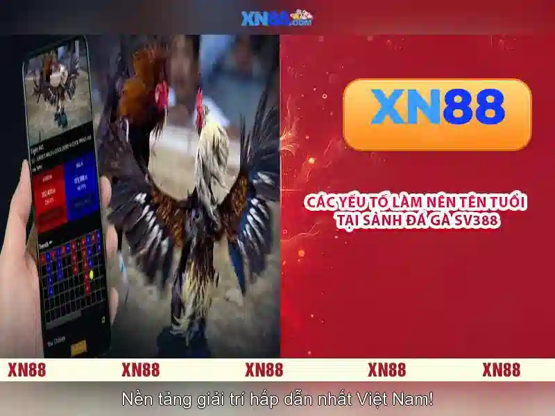 💎hb88 sign up offer💎