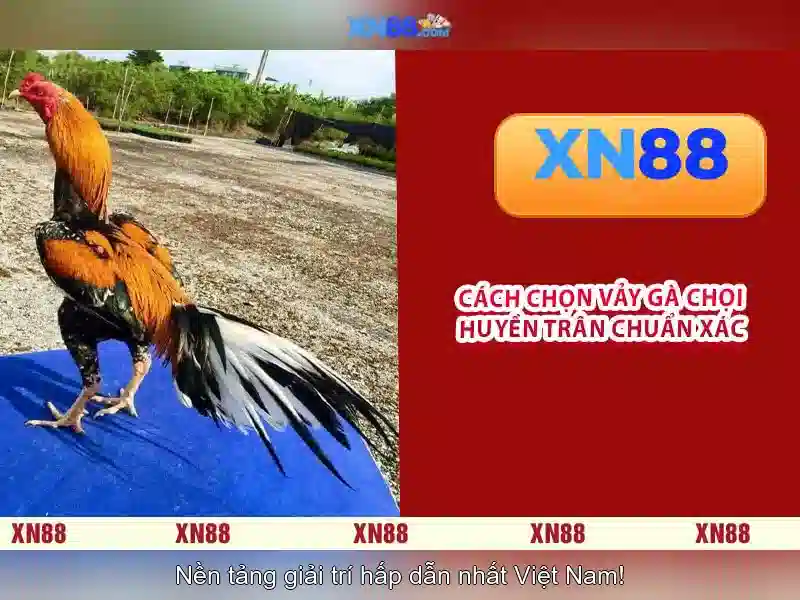 💎top real money 888slot games💎