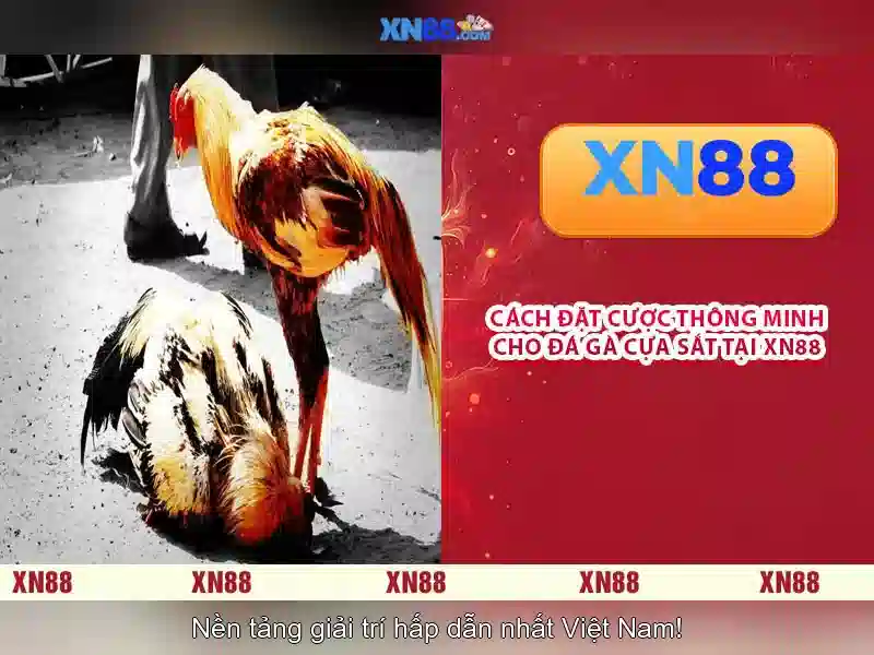 💎cassino 888 slot💎