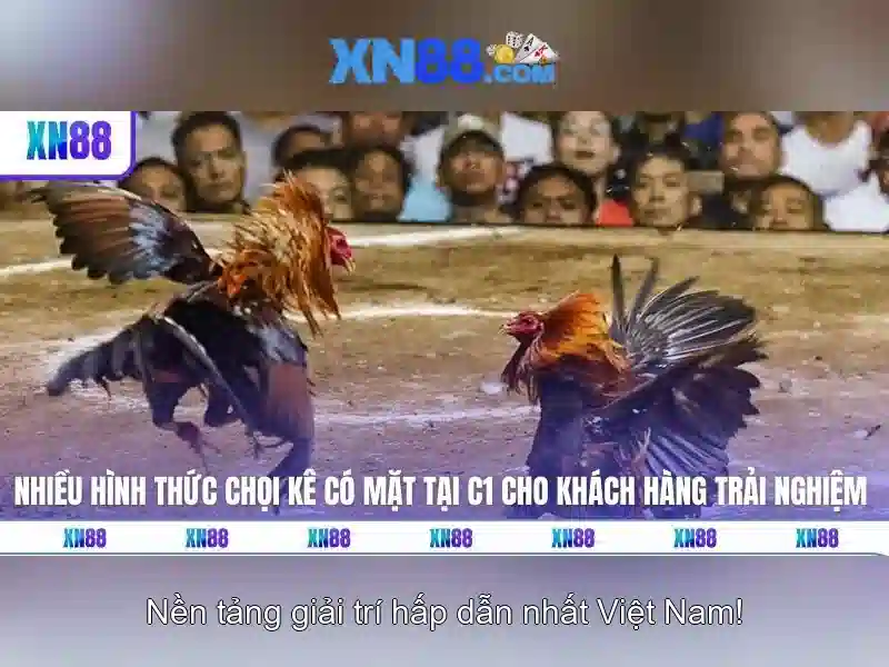 💎nhà cái uy tín casino so 1💎