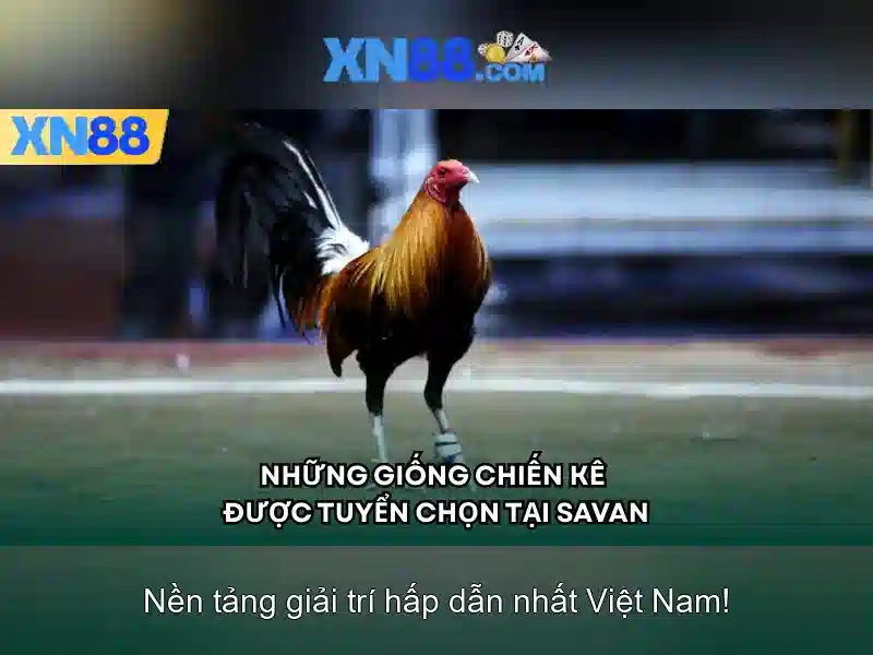 💎sensational 88 slots💎