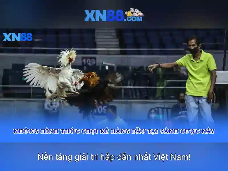 💎888slot vipwin💎