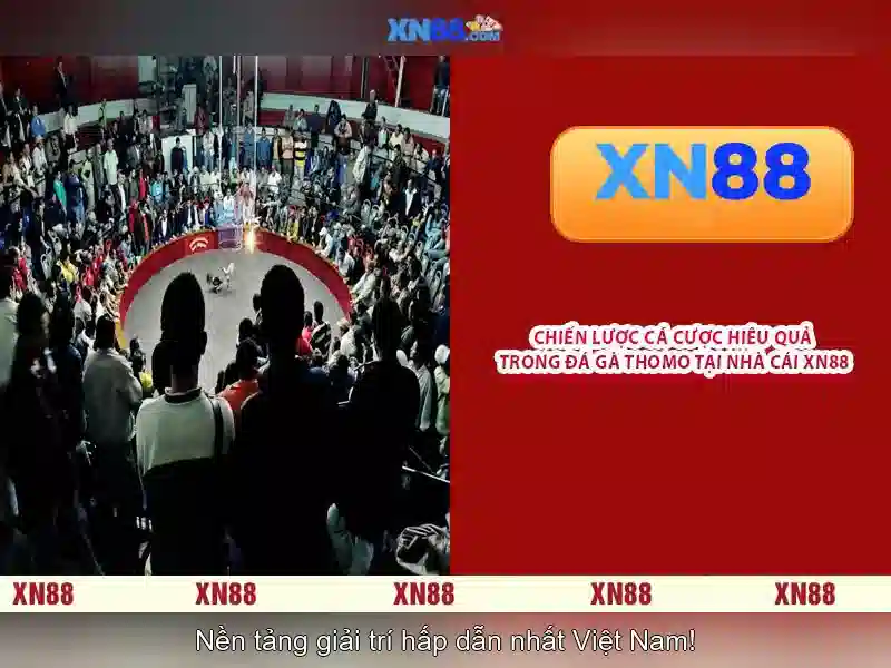 💎slot machine hire surrey💎