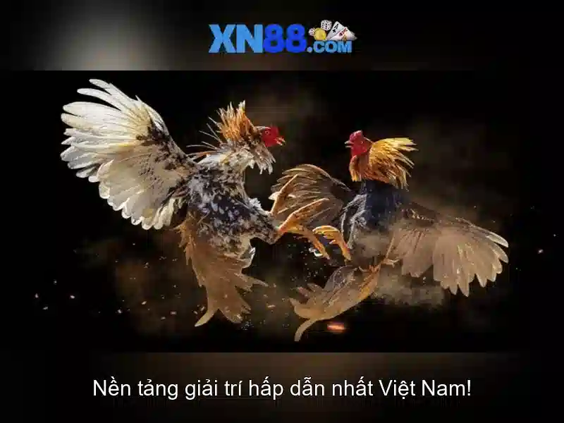 💎888slot asia com ph💎