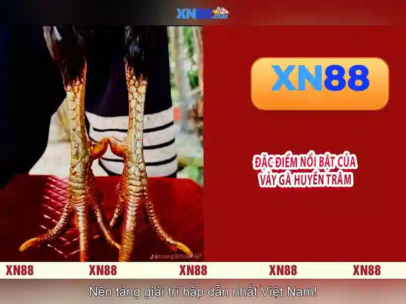 💎hb88 slot and salah💎