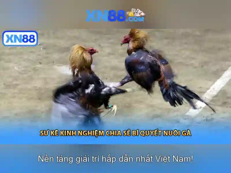 💎is 888 slot scam💎