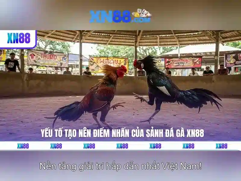 💎xn88 sign up offer💎