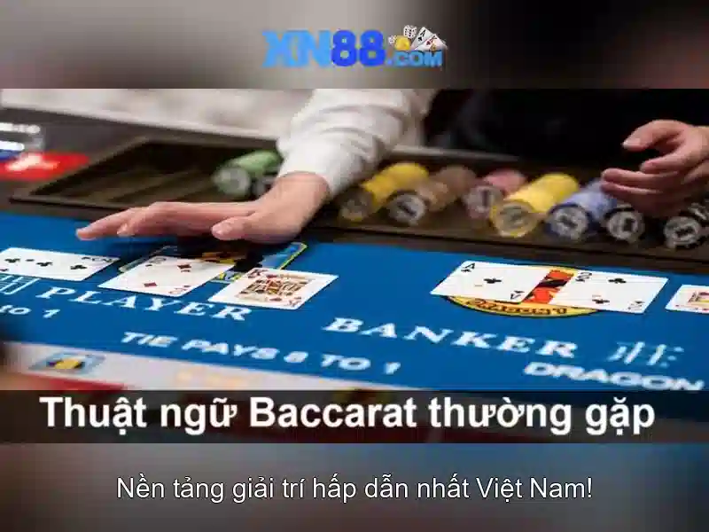 💎các nhà cái mới💎