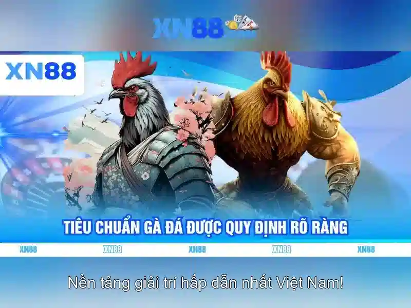 💎k9 66b💎 - 66b con - 66b nguyễn sỹ sách tân bình