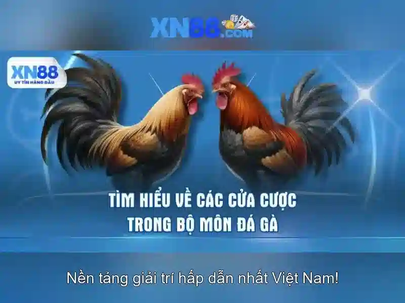 💎123 888slot casino💎