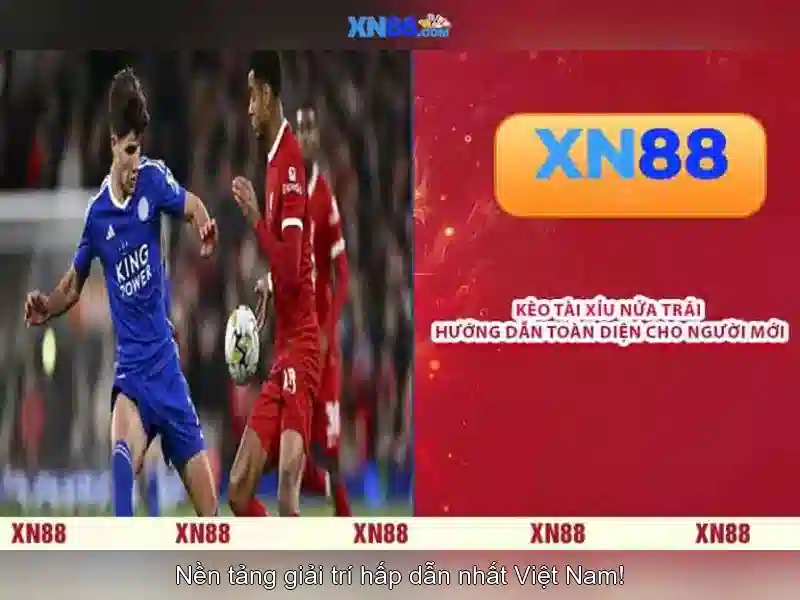 💎nhà cái mới mở💎