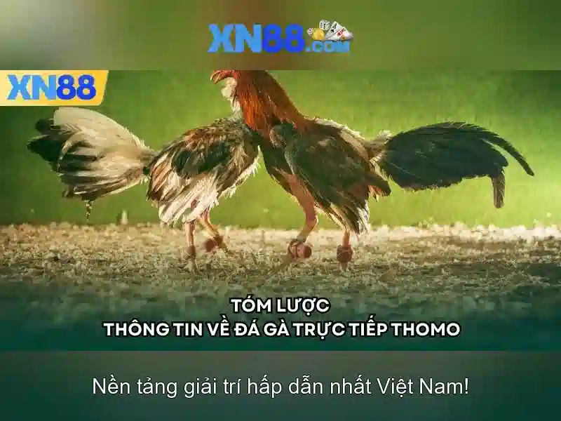 💎888 slot nổ hũ💎