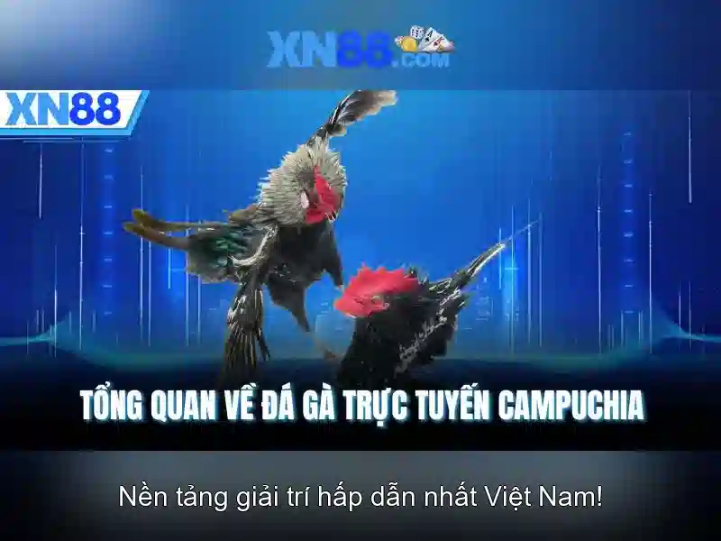 💎bắt vụ đánh bạc ở kim sơn ninh bình💎