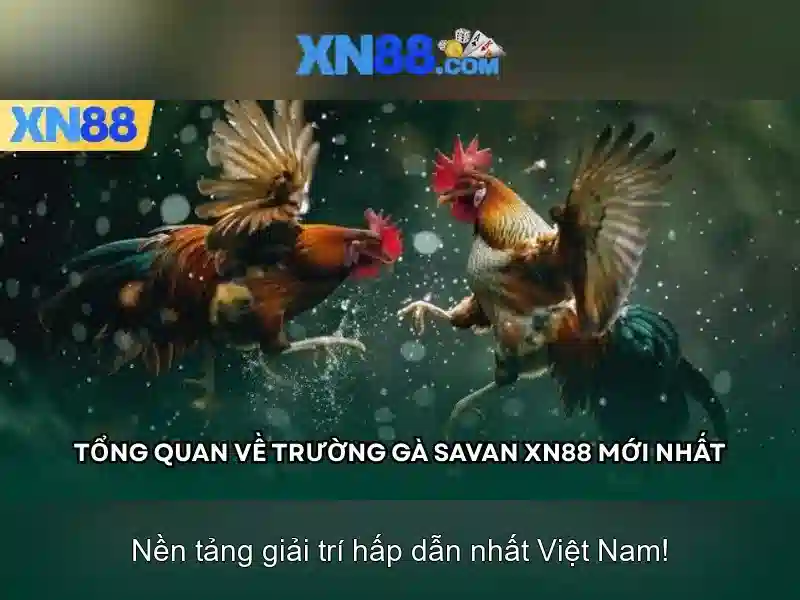 💎đăng nhập slot365💎 - review Slot365 - Slot365 có hợp pháp không