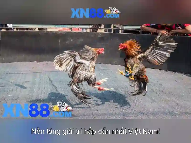 💎super ace slot 888slot💎