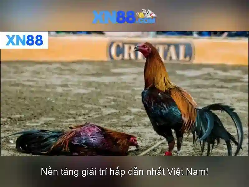 💎slot garden free spins💎