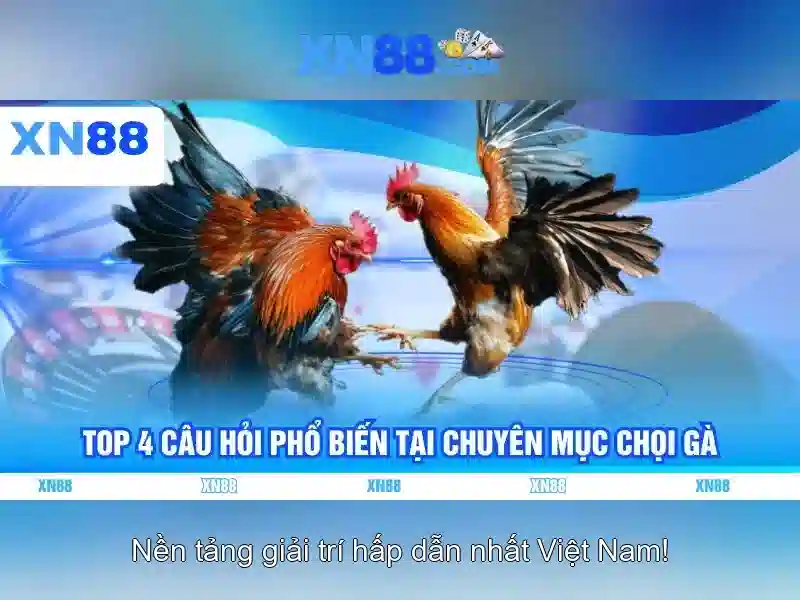 💎xn88 bonus free💎