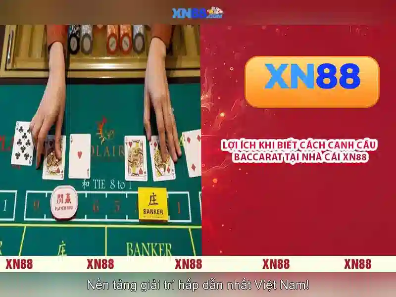 💎chin shi huang hb88💎