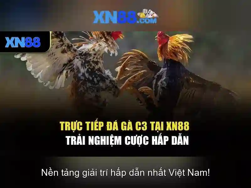 💎hb88 apk bigwin 777 hb88💎