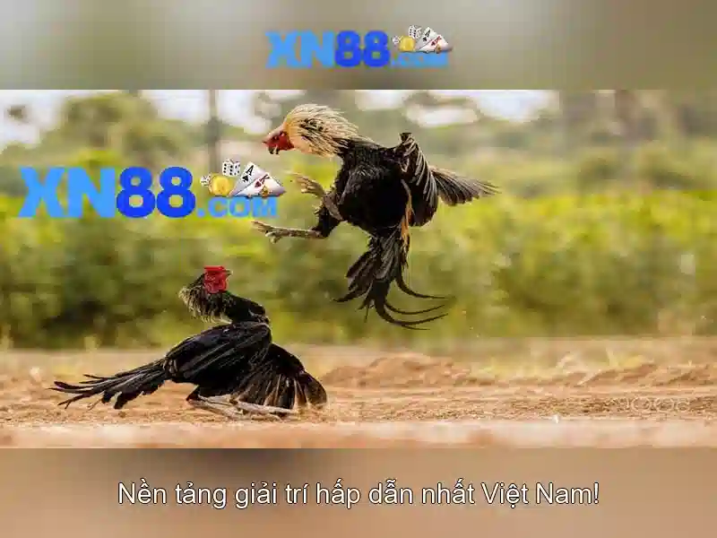 💎đánh giá về câu cá và cuộc sống💎