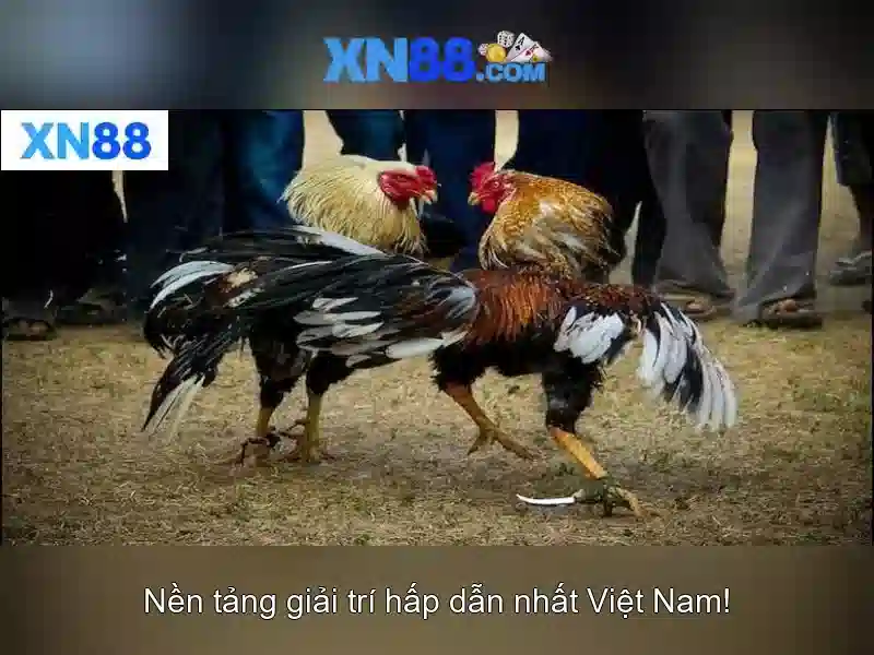 💎bắt đánh bạc tại nam đàn💎