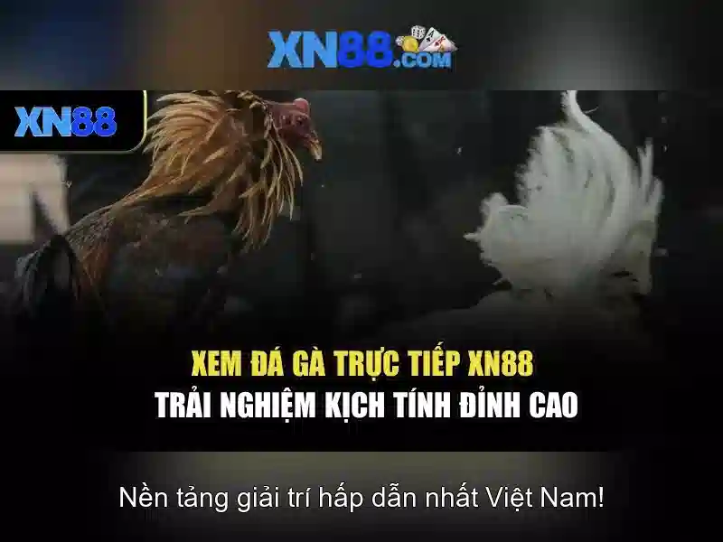  điều kiện cấp phép - XN88