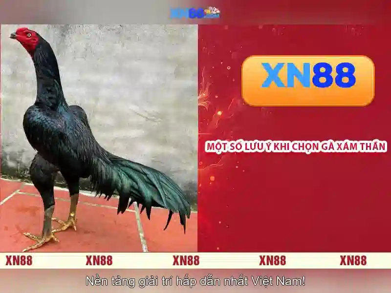 💎slot playboy gold jackpots💎