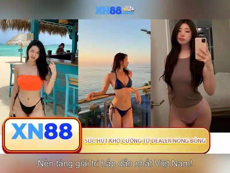 💎nhà cái mig8 chính thức hà nội💎