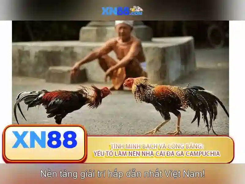 💎nhà cái tặng tiền betasia.com💎