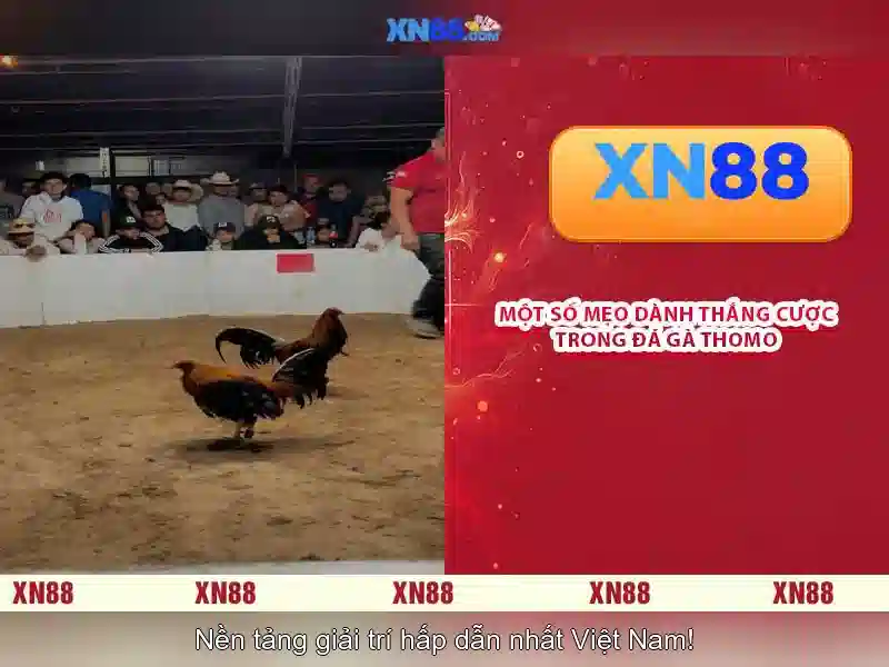 💎danh sách bác sĩ bệnh viện tâm anh💎