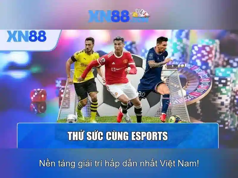 💎chuyên gia ra kèo nhà cái💎