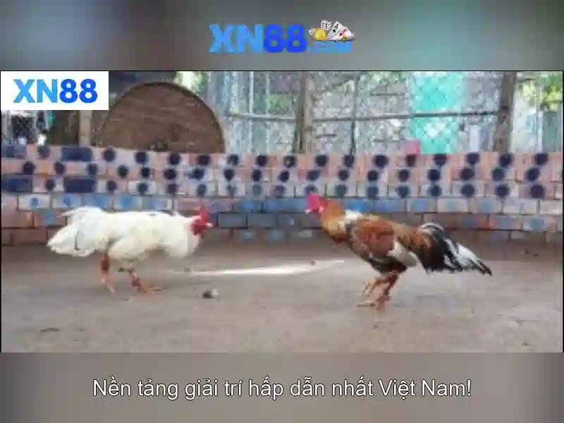  trang chủ XN88 - XN88